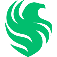 टीम फाल्कन्स वेगा